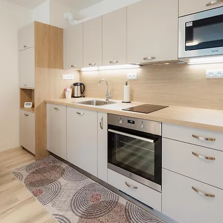 Pod Vinicou With Balcony Apartment