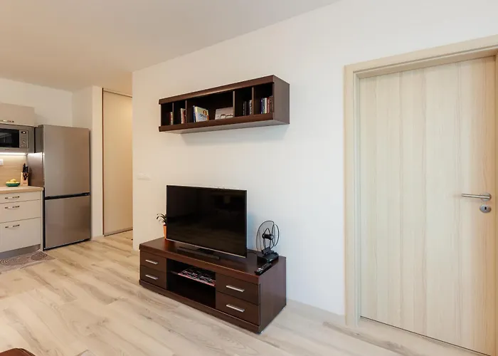 Lejlighed Pod Vinicou With Balcony Bratislava