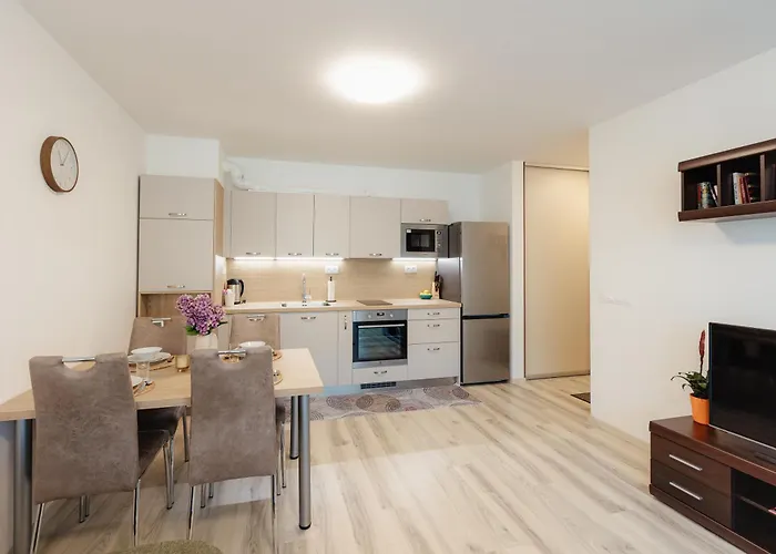 Pod Vinicou With Balcony Apartment